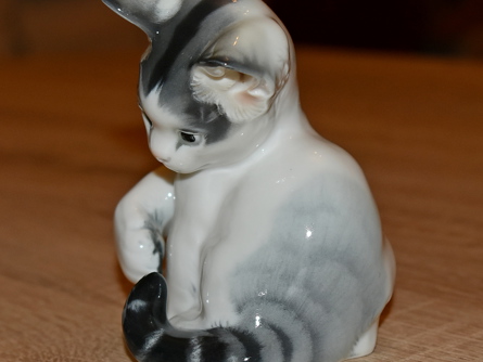 kočka/kotě I., Rosenthal
