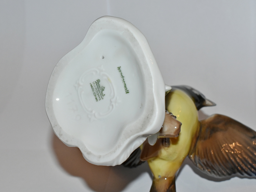 velká sýkorka, Rosenthal