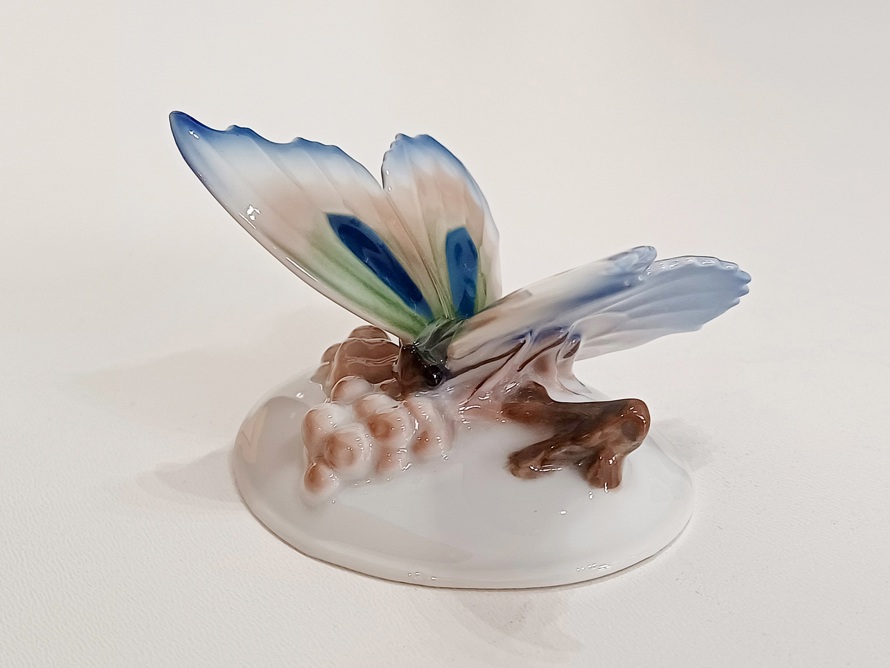 motýl Rosenthal Nr.94, O. Koch