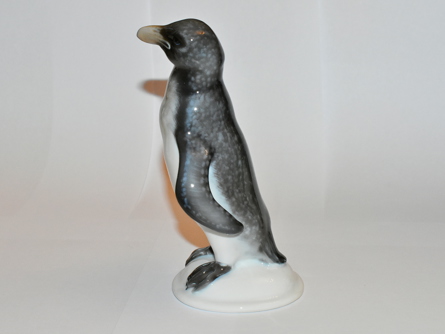 velký tučňák, Rosenthal