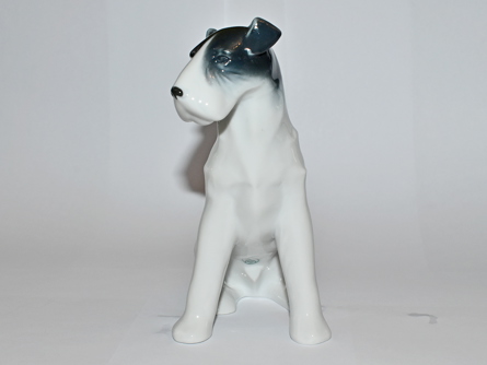foxteriér, Metzler Ortloff, Německo, styl Rosenthal