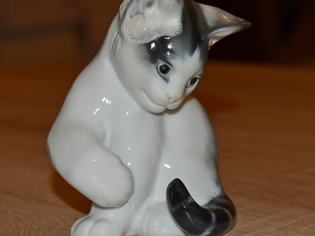 kočka/kotě I., Rosenthal