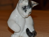 kočka/kotě I., Rosenthal