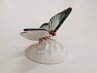 motýl Rosenthal Nr.96, O. Koch