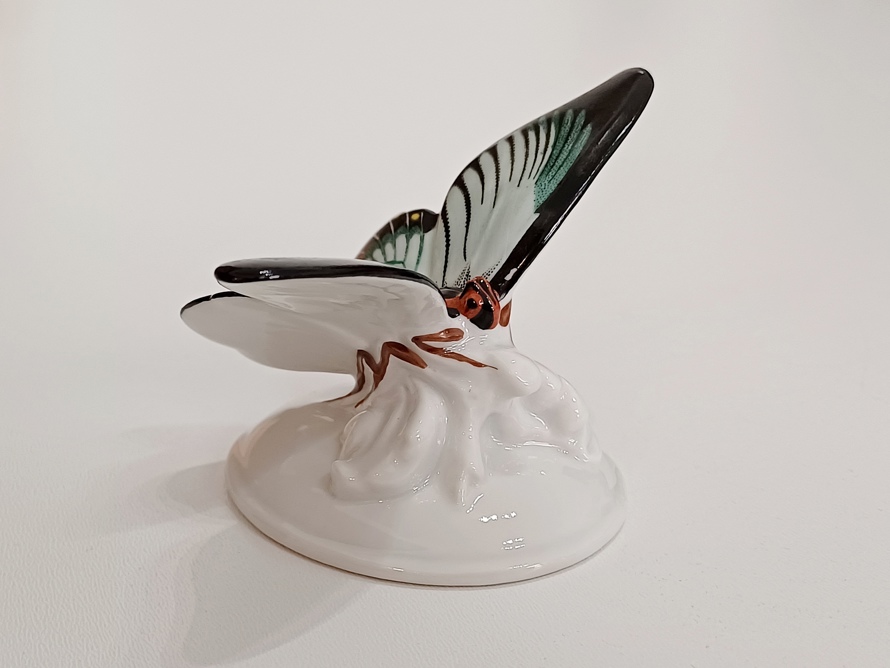 motýl Rosenthal Nr.96, O. Koch