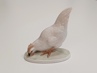 slepice Rosenthal