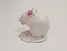 myška, Rosenthal