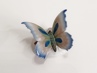 motýl Rosenthal Nr.94, O. Koch