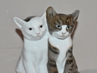 velké porcelánové kočky, Rosenthal