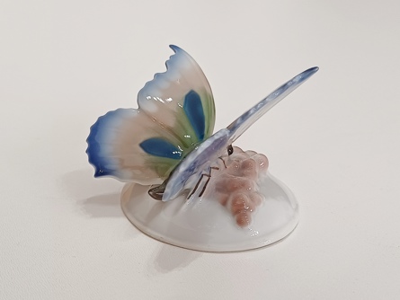 motýl Rosenthal Nr.94, O. Koch