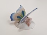 motýl Rosenthal Nr.94, O. Koch