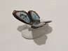 motýl Lindner Germany, styl Rosenthal