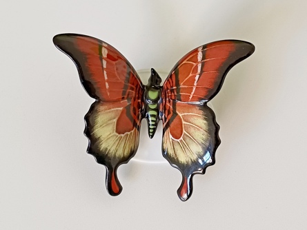 motýl Rosenthal, K. Himmelstoss