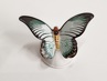 motýl Rosenthal Nr.96, O. Koch
