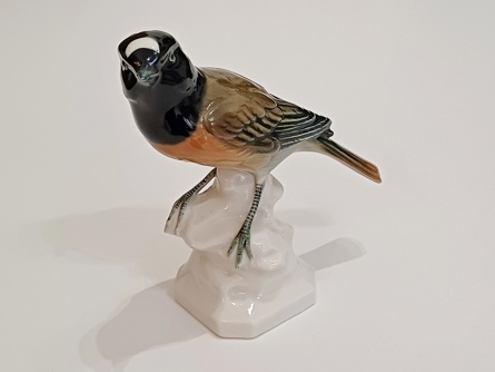 porcelánový ptáček, Aelteste Volkstedt